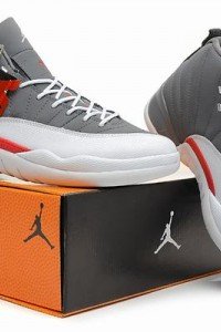 Air Jordan Retro 12 (XII) Cool Grey 2012