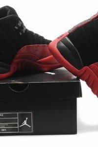 Air Jordan XII (12) Retro-83