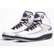 Air Jordan II (2) Concord Elephant Print