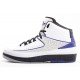 Air Jordan II (2) Concord Elephant Print