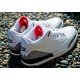 Air Jordan III (3) Retro 88 White Cement