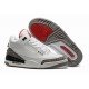 Air Jordan III (3) Retro 88 White Cement