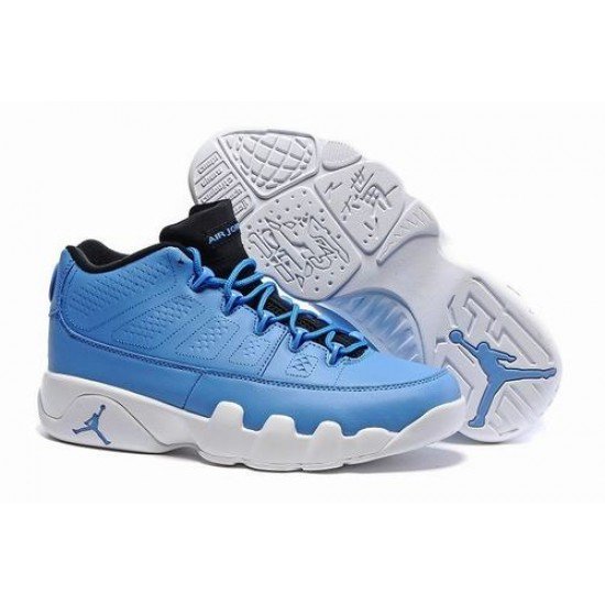 Air Jordan 9 Low Pantone