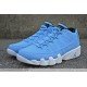 Air Jordan 9 Low Pantone