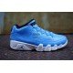 Air Jordan 9 Low Pantone