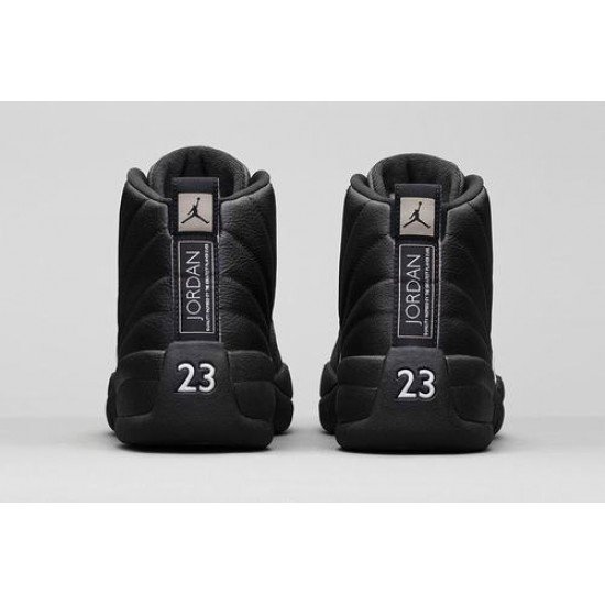 Air Jordan 12 Retro GS Master