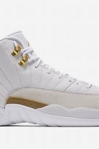 Air Jordan 12  Retro OVO