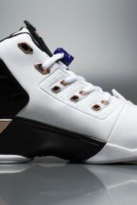 Air Jordan 17+ “Copper”-1