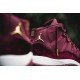 Air Jordan 11  Velvet Heiress Women-1