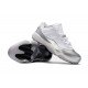 Air Jordan 11 Low White Silver-1