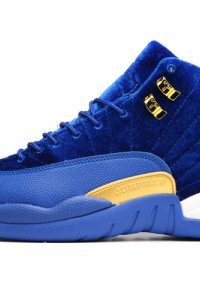 Air Jordan 12 Sapphire “Heiress” -1