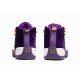 Air Jordan 12 Purple “Heiress” -1