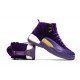 Air Jordan 12 Purple “Heiress” -1