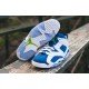 Air Jordan 6 Low Seahawks-01