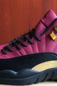 Air Jordan 12 Retro Wine Red/Black