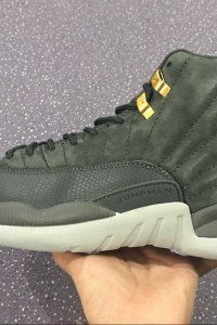 Air Jordan 12 Gray Velvet-01