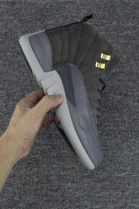 Air Jordan 12 Cool Gray-01