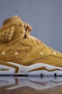 Air Jordan 6 