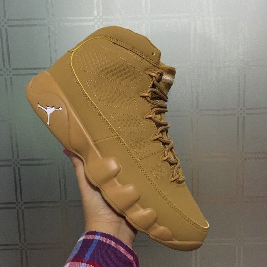 Air Jordan 9 Wheat-01