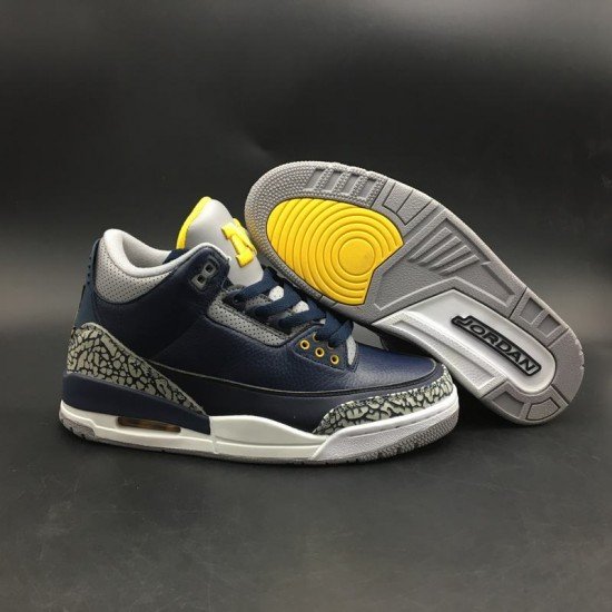 Air Jordan 3 Michigan PE-1