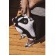 Air Jordan 13 “He Got Game” -1