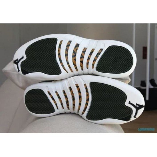 Air Jordan 12 Graduation Pack-01