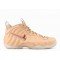 Air Foamposite-31