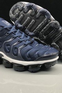 Air VaporMax Plus TN-1