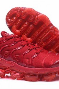 Air VaporMax Plus TN-11