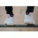 Air Jordan 11 Platinum Tint-01