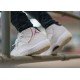 Air Jordan 11 Platinum Tint-01