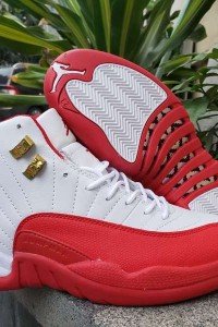 Air Jordan 12 hight White water red