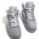 AIR JORDAN 5 RETRO WOLF GREY