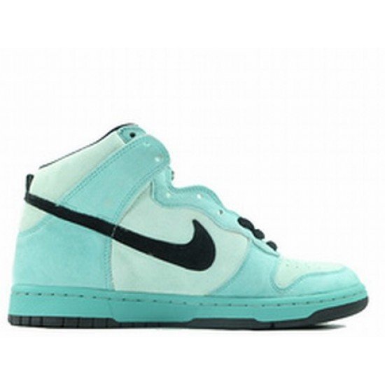 Nike SB Dunk High Pro-41