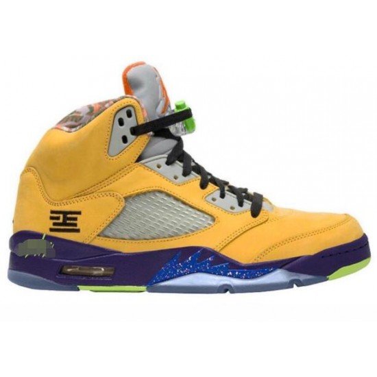 Air Jordan 5 What The