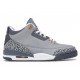 Air Jordan 3 Cool Grey CT8532-012