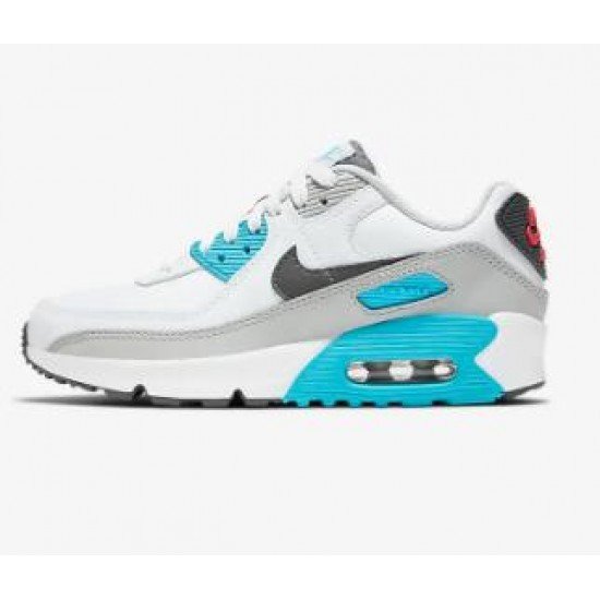 Nike Air Max 90 LTR