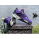 Air Jordan 4 “Canyon Purple”