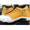 Air Jordan 14 “Ginger”